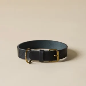 Hunde-Halsband aus Leder – Kollektion Edles für Vierbeiner