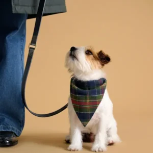 Hunde-Bandana – Kollektion „Fine Truffe“
