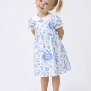 Vintage Blue Bird Toile Floral Bamboo Peter Pan Collar Dress
