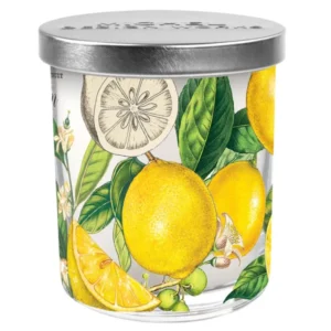 Michel Design Works Lemon Basil Decorative Candle