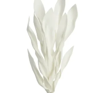 Desert Broad Leaf Flame Grass 38L" Stem - Antique White